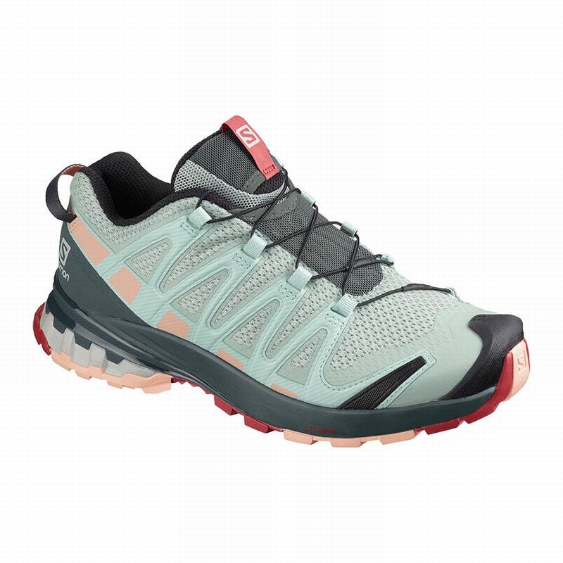 Salomon Singapore Womens Hiking Shoes - XA PRO 3D V8 Light Turquoise Grey | 56410-RDVC